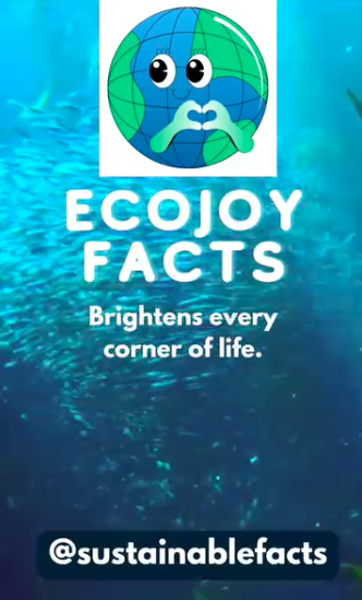 Happiness in Sustainable Living