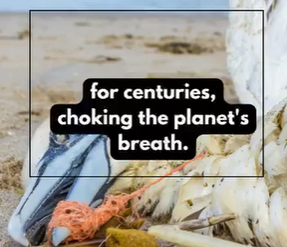 How Does Plastic Affect the Environment? (And 3 Tiny Wins for Today)