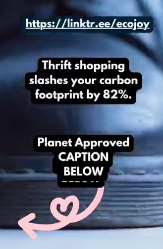 Online Shopping for Sustainable Fashion