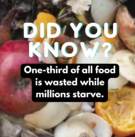 What Does Sustainability Mean?