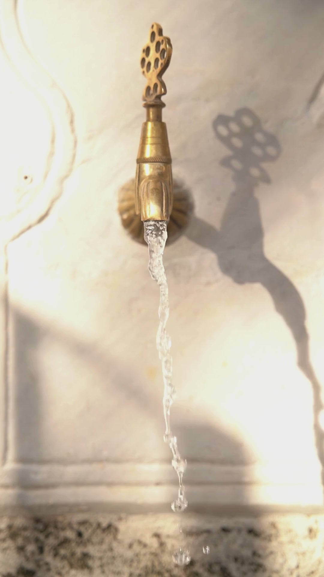 sustainable-living-save-water